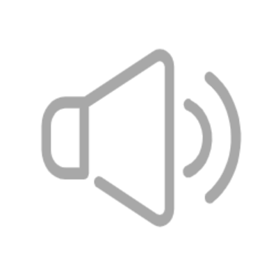 Earpiece Speaker